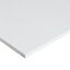 Afbeeldingen van Fermacell Slimpanel Gipsvezelplaat 2600x600x12.50 mm