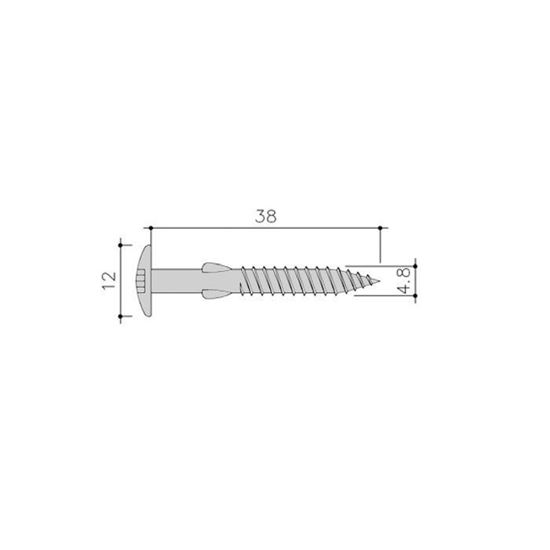 Image de Siding Schroef Torx+Vlgls 100St 4,8X38 Rvs C01 Everest Wit