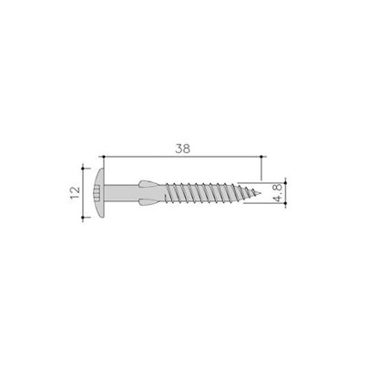 Afbeeldingen van Siding Schroef Torx+Vlgls 100St 4,8X38 Rvs C02 Vanile