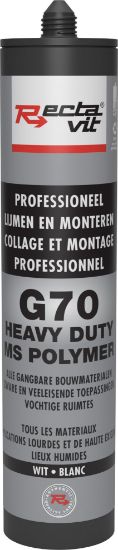 Picture of Rectavit G70 Heavy Duty Wit 290ml